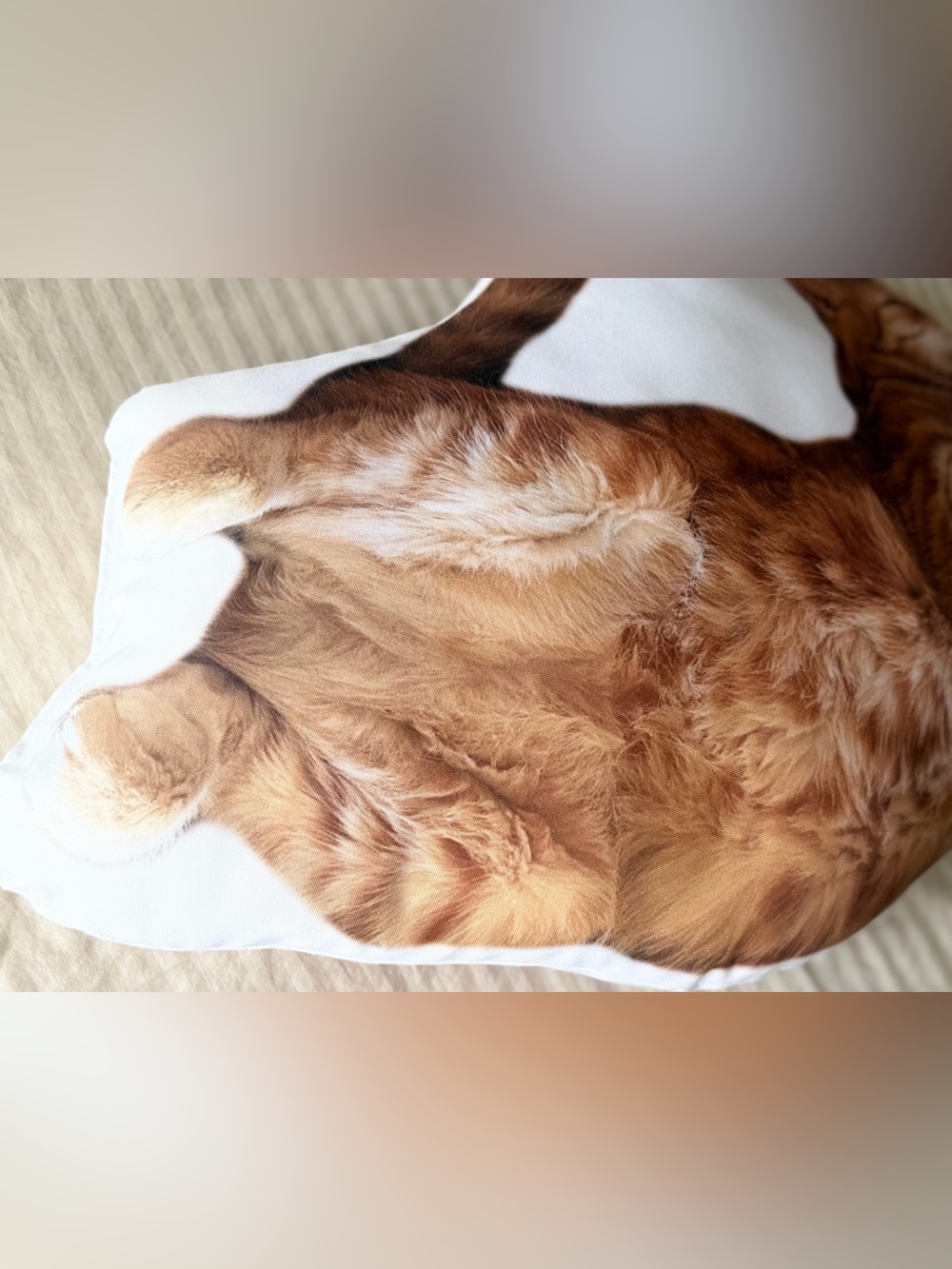 Plush Ginger Cat Shaped Pet Pillow - Decorative Cat Cushion (Ginger) - Picture 4 of 6